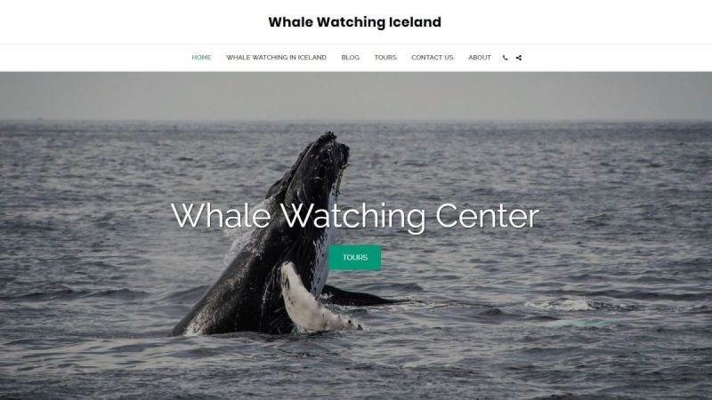 whale watching iceland