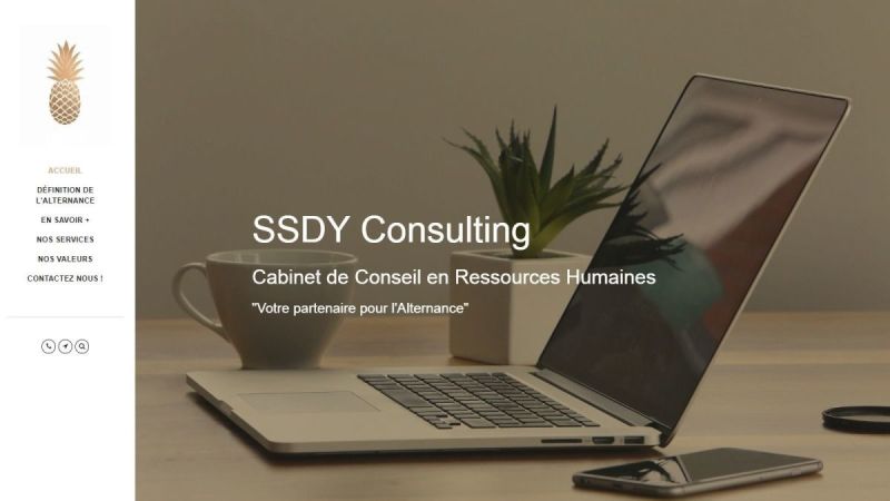 SSDY Consulting