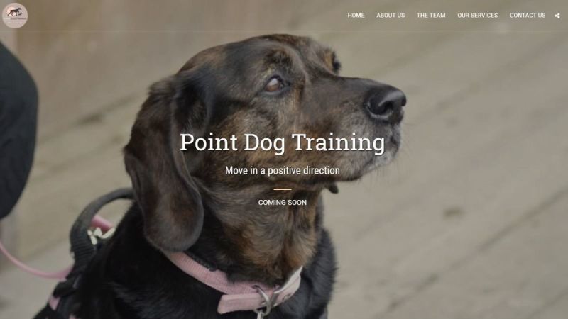 Point Dog Training