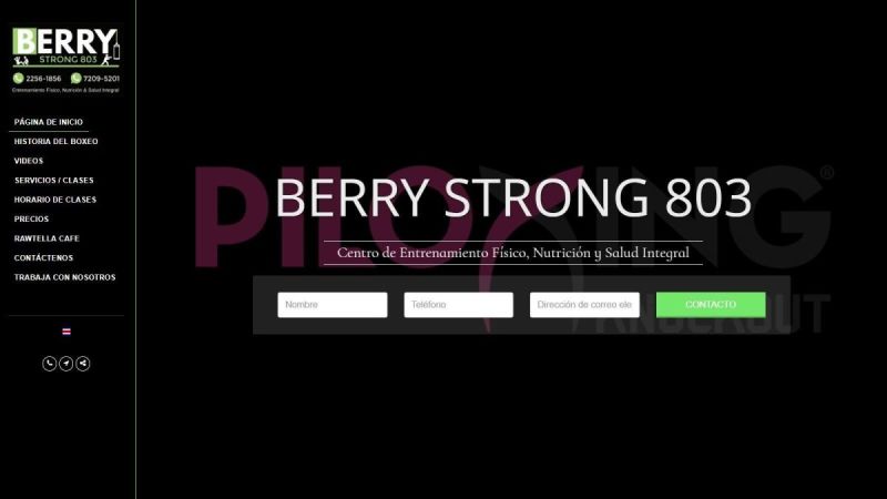 BERRY STRONG 803