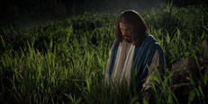 Why do I need a Savior?