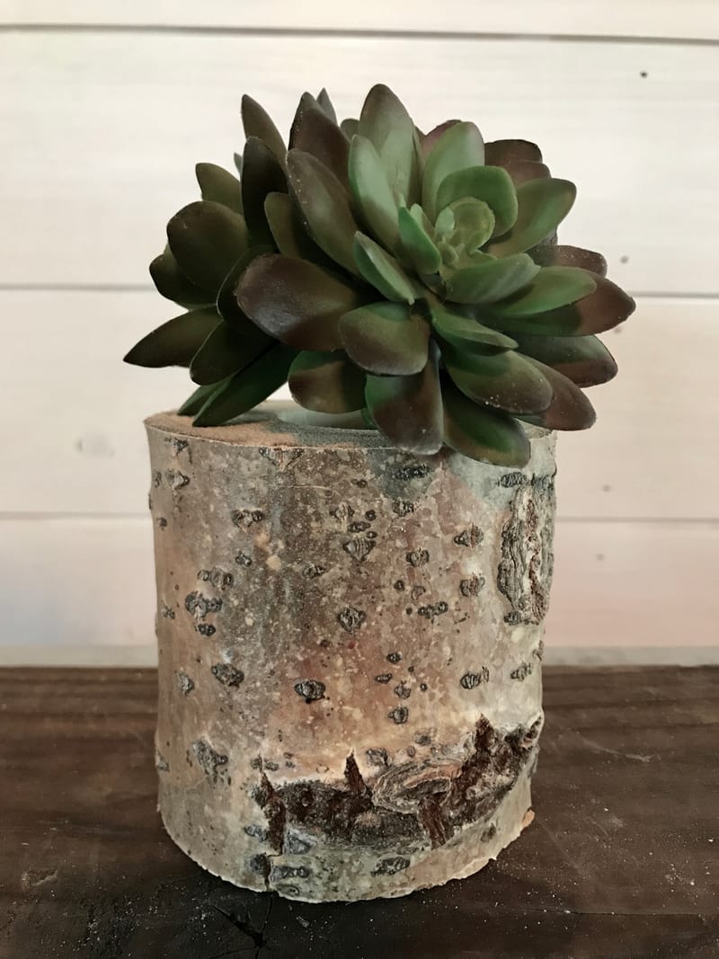 Sweet succulent, egotastic redhead tits