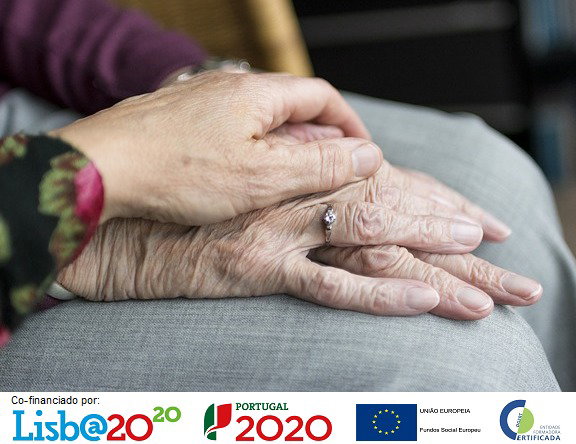 Formação Financiada - Parceiros