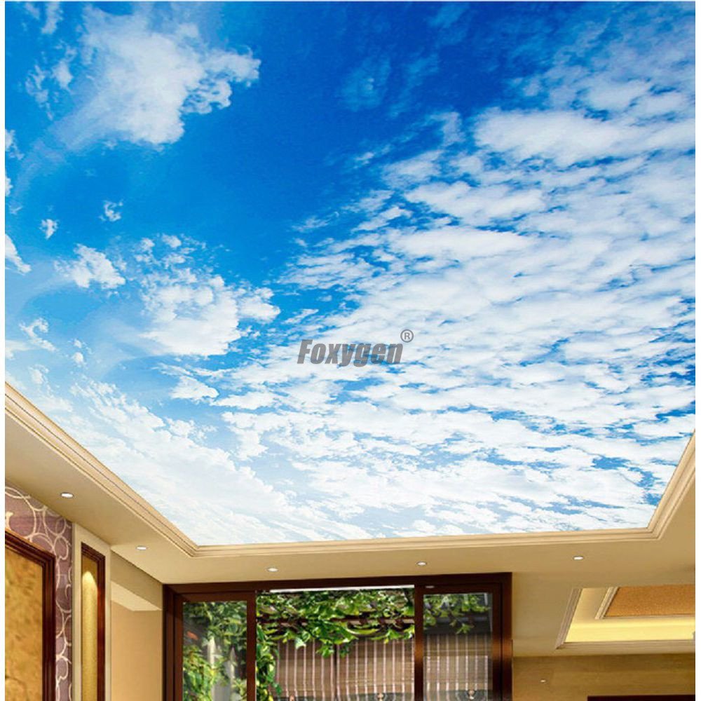 House Modern False Ceiling Blue Sky Clouds Sunshine Print 3d