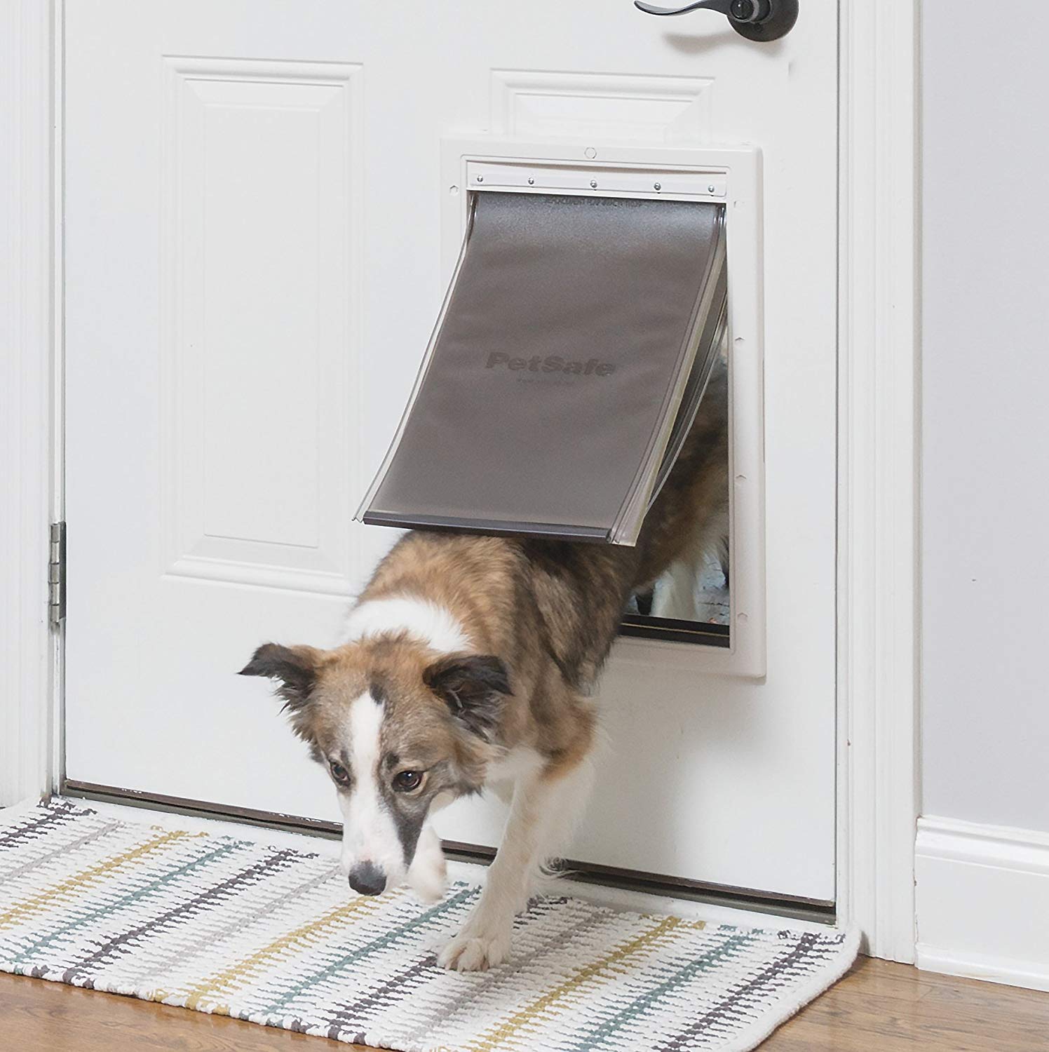 Best Electronic Dog Door Best Electronic Dog Door