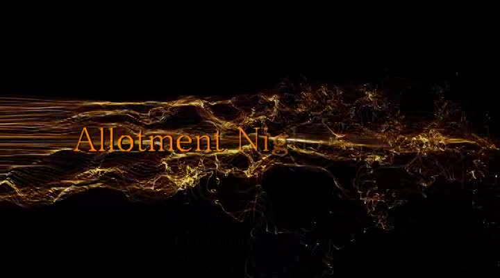 Allotment Night & Day thumbnail