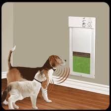 Choosing Electric And Automatic Dog Doors Electric And Automatic