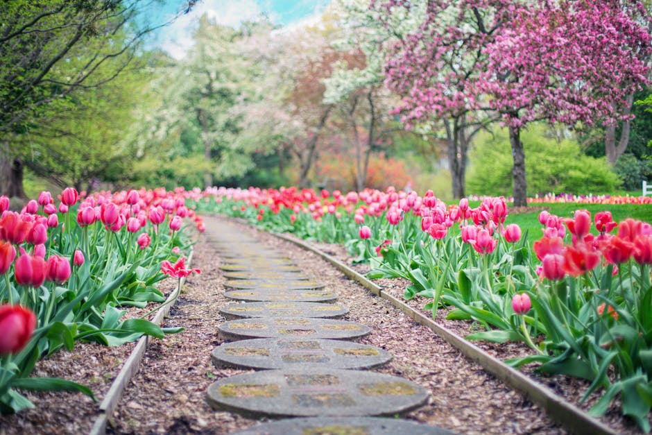 Helpful Guide To Find The Leading Landscaping Company Helpful Guide To Find The Leading Landscaping Company