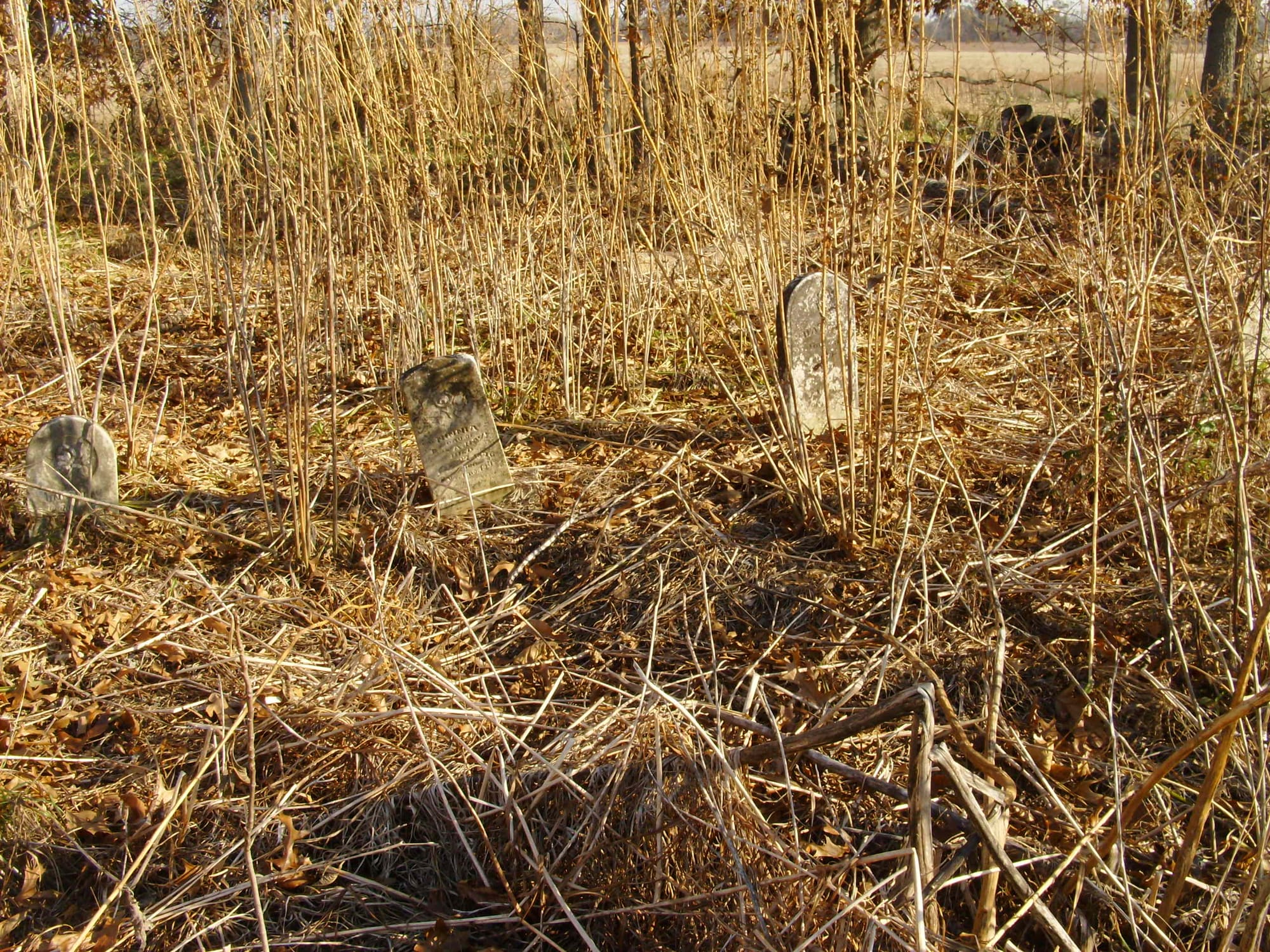 Buckhart Township Cemeteries Christian County Illinois Genealogical