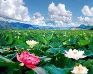 Xiahe Chine