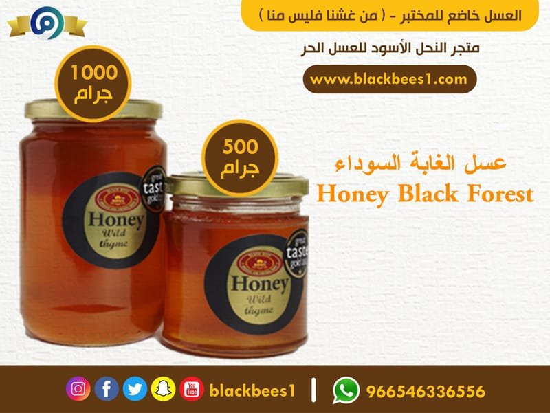 عسل الغابة السوداء Honey Black Forest النحل الأسود للعسل الحر