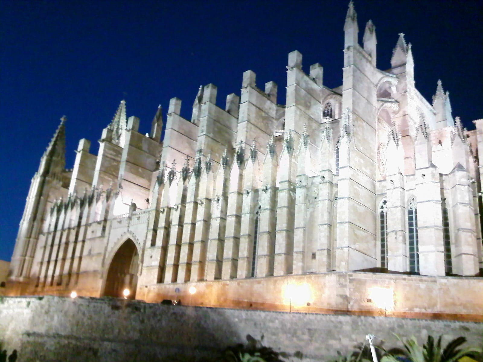 Vista nocturna de la catedral de Palma de Mallorca.