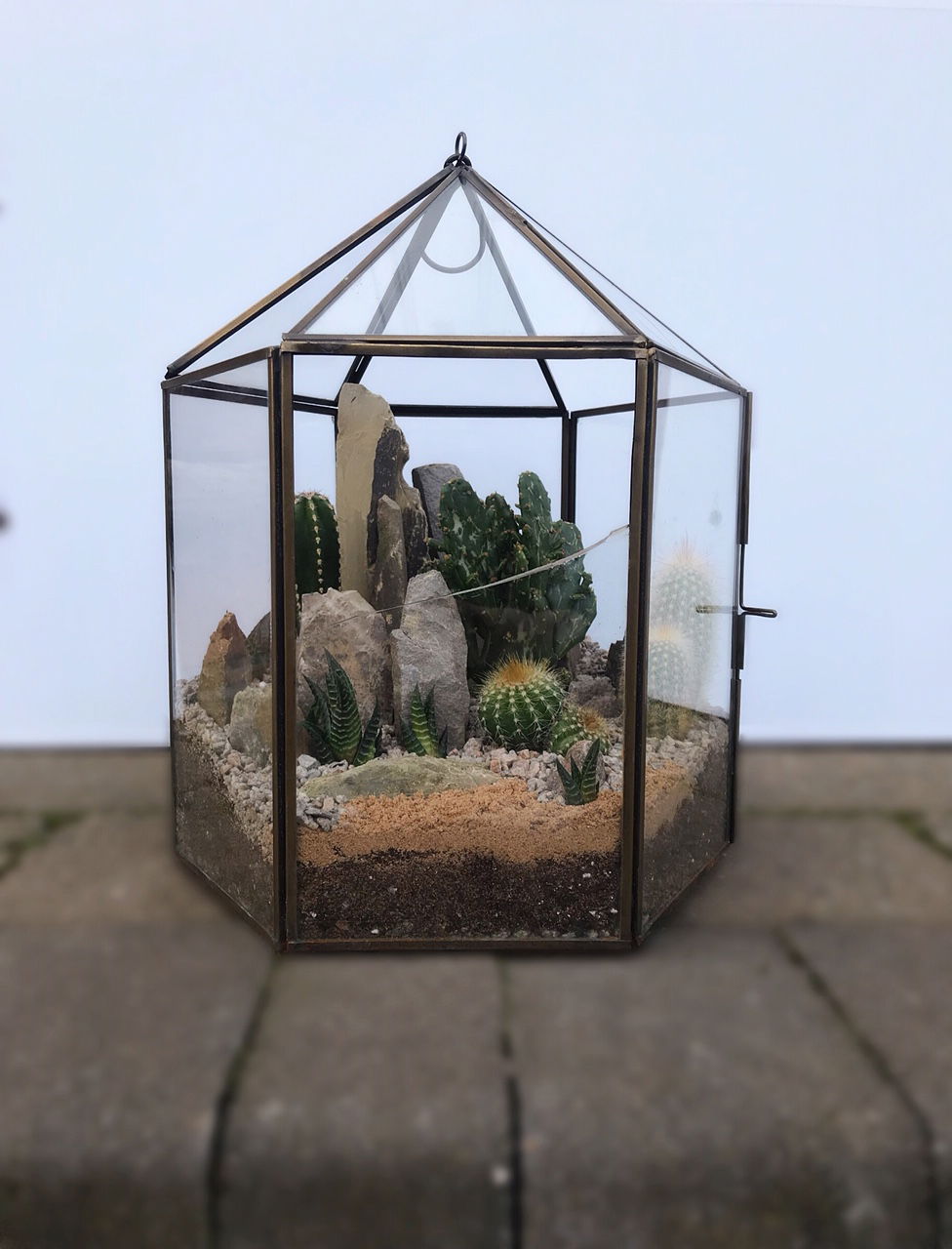 Making an Open Terrarium ukhouseplants