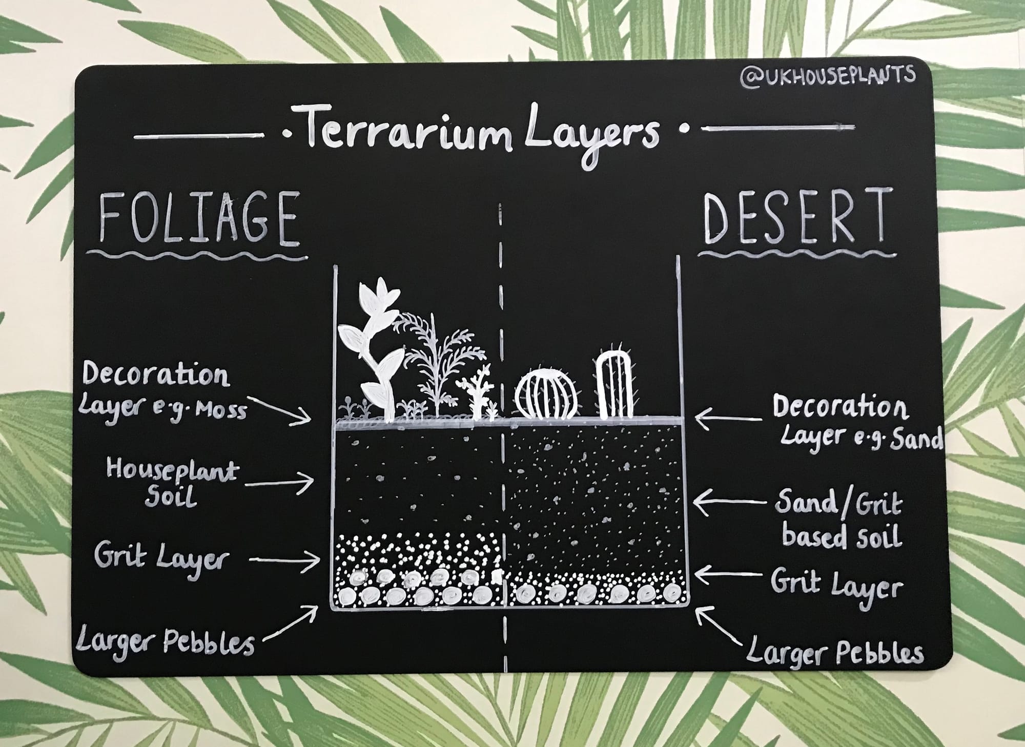 Making An Open Terrarium Ukhouseplants