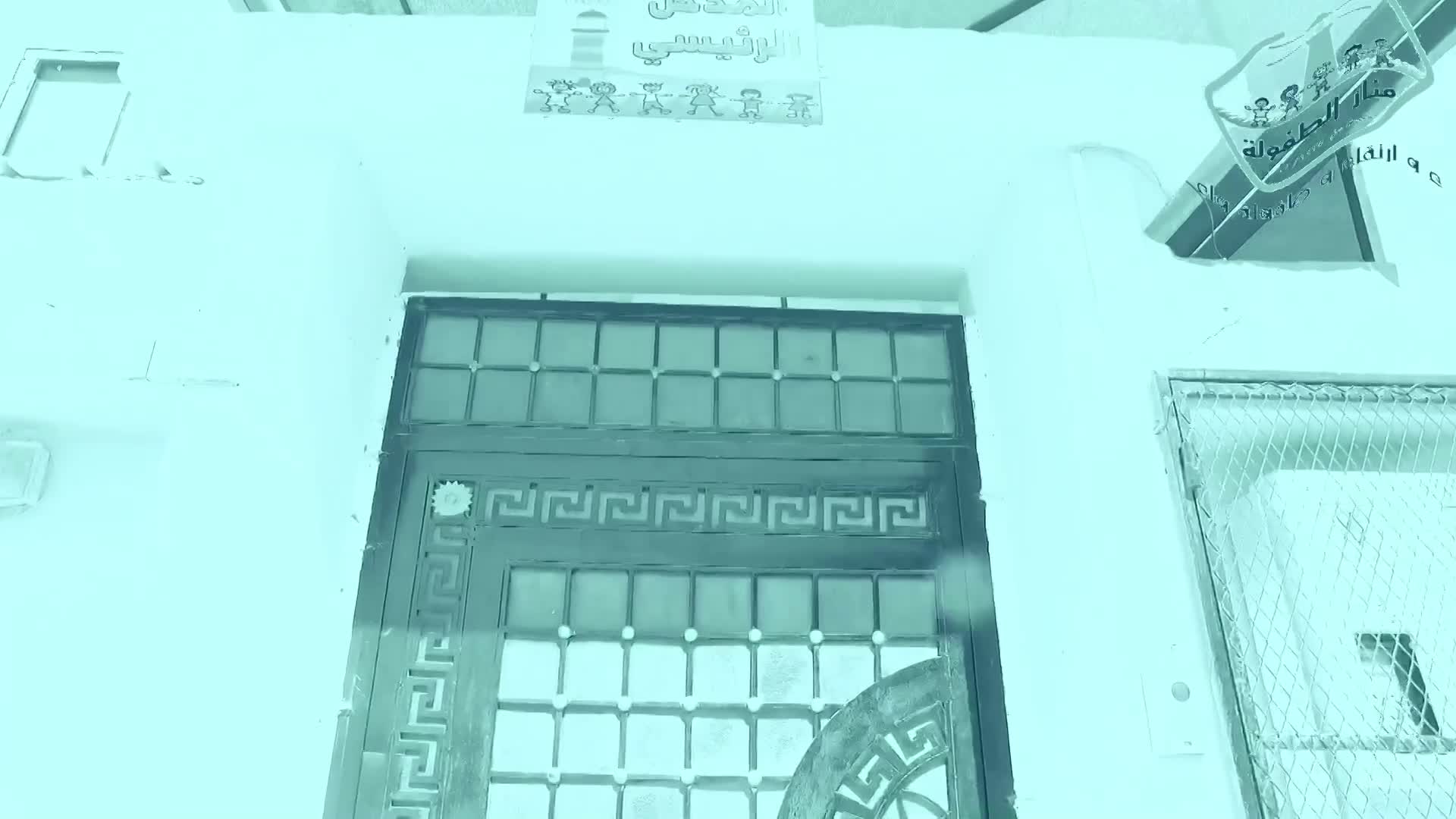 فيديو