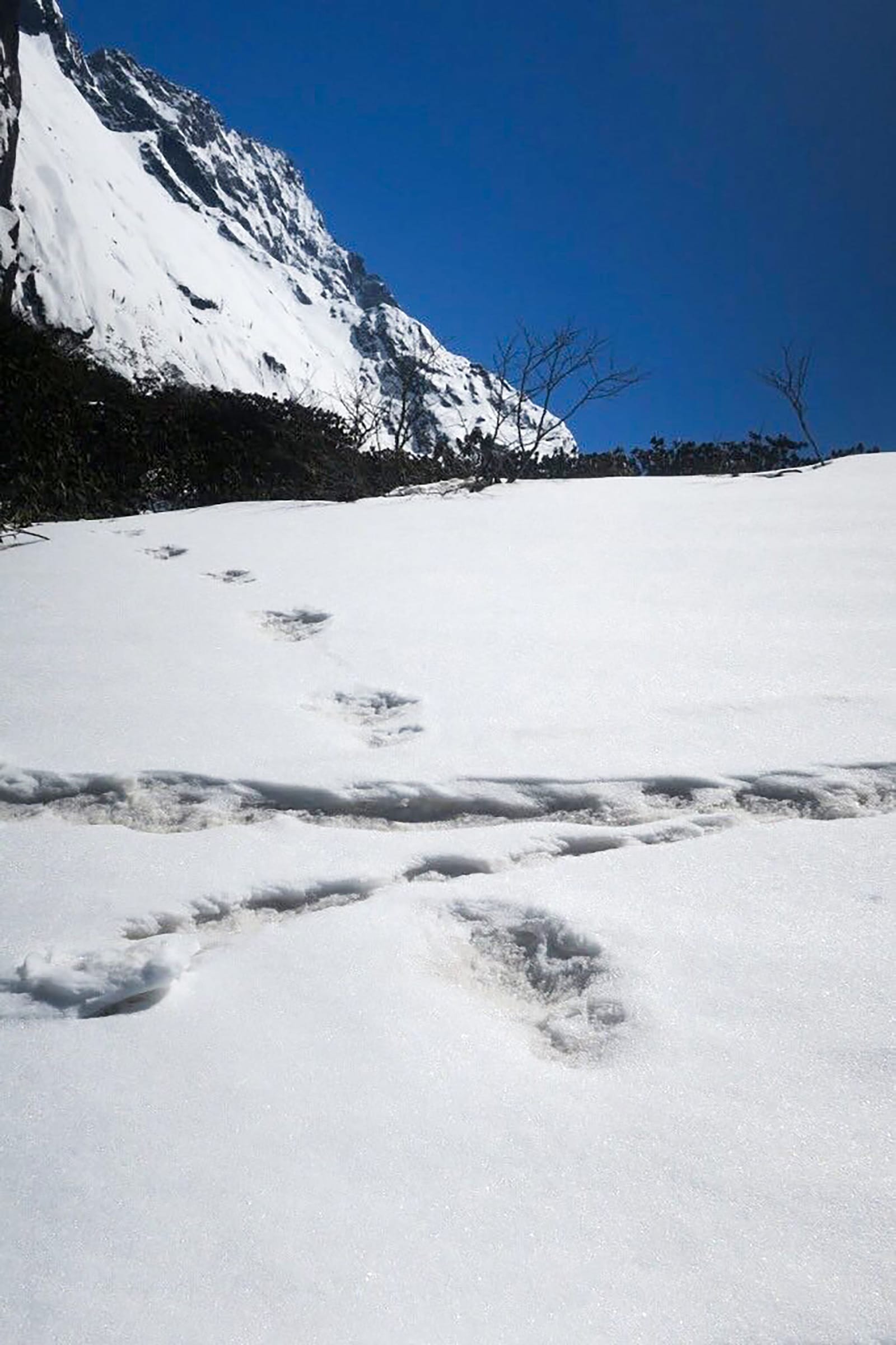 Sito di incontri Nepal