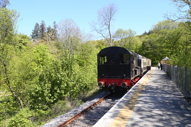 Plym Valley Railway