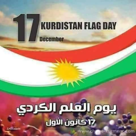 ربما تحتوي الصورة على: ‏‏نص‏‏