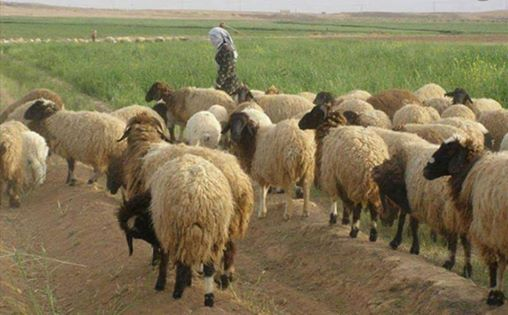 ربما تحتوي الصورة على: ‏‏‏نشاطات في أماكن مفتوحة‏ و‏طبيعة‏‏‏