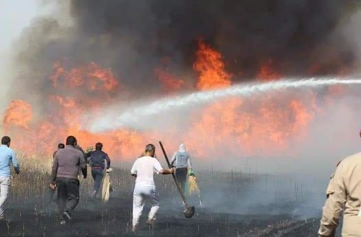 Das Bild kann enthalten: eine oder mehrere Personen, stehende Personen und Aktivitäten im Freien