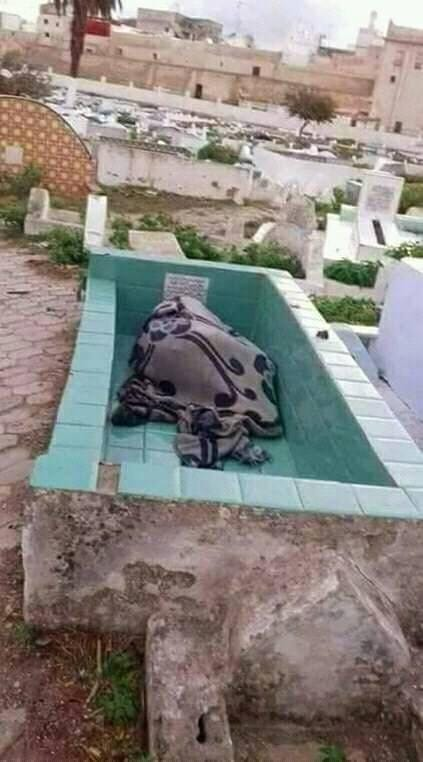ربما تحتوي الصورة على: ‏‏نشاطات في أماكن مفتوحة‏‏