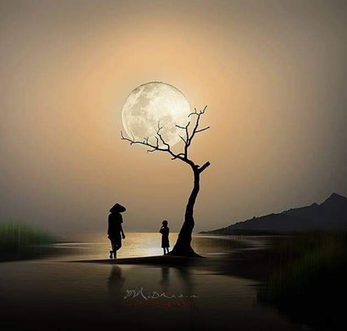 ربما تحتوي الصورة على: ‏‏سماء‏‏