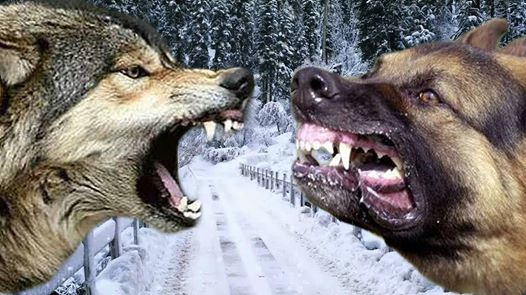 ربما تحتوي الصورة على: ‏‏نشاطات في أماكن مفتوحة‏‏
