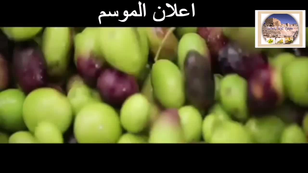 عرض الموسم مقدم من معصرة الربة الحديثة