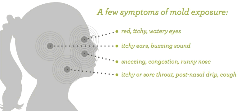 Symptoms Of Toxic Mold Exposure Stars Black Mold Symptoms