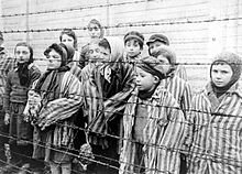ילדים ששרדו את ניסויי מנגלה במחנה אושוויץ, לאחר שחרור המחנה, 