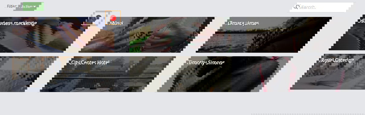 Main Websites Panel