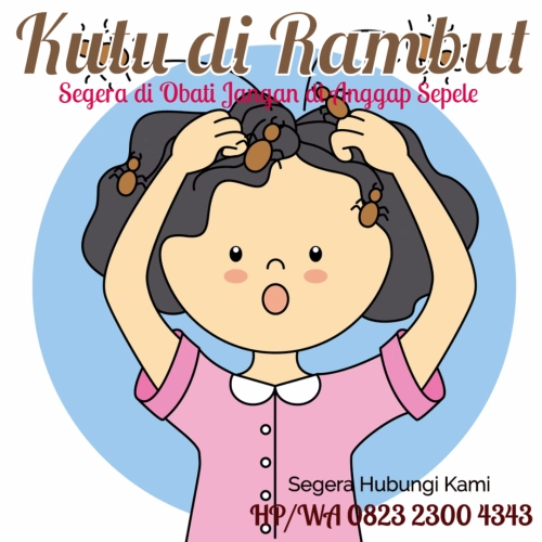 cara menghilangkan kutu rambut cara menghilangkan kutu rambut
