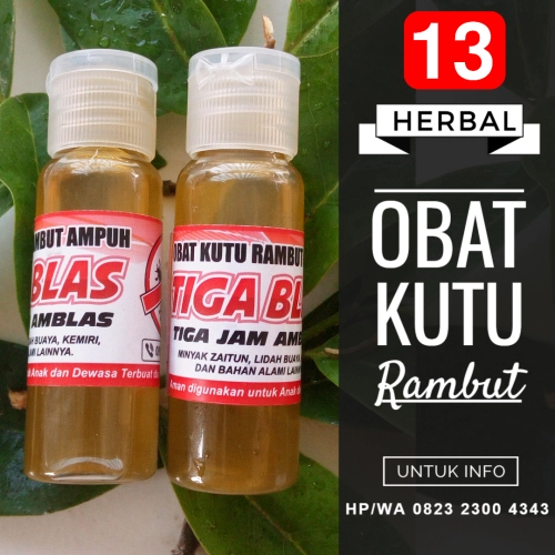 cara menghilangkan kutu rambut cara menghilangkan kutu rambut