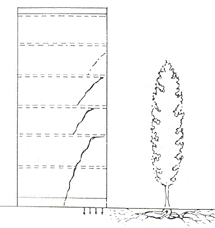 5102b